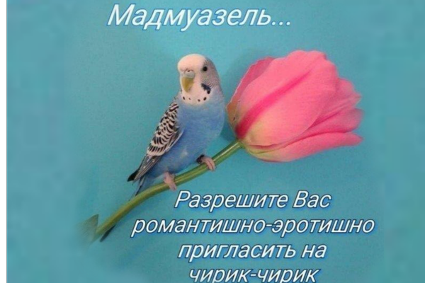 Чирик