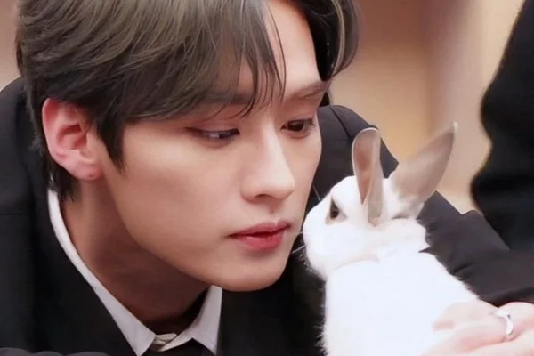 Bunny