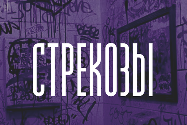 Стрекозы