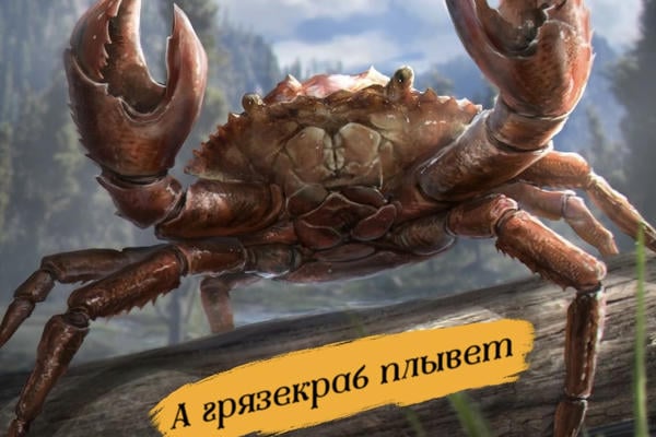 А грязекраб плывет