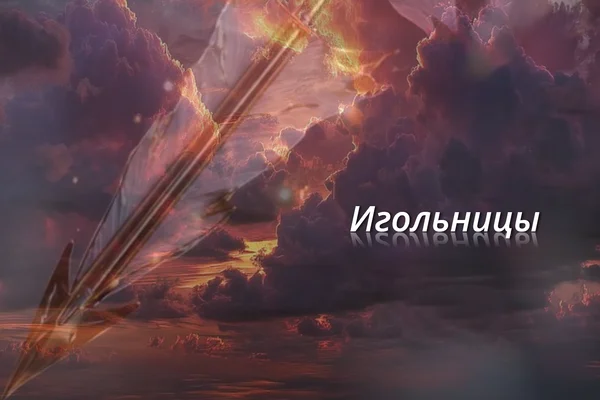 Игольницы