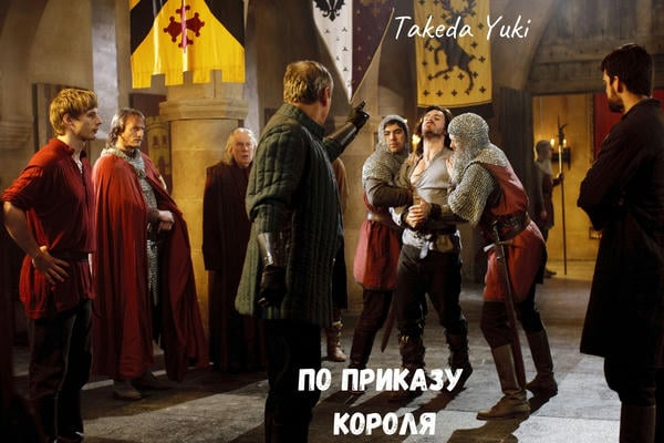 По приказу короля