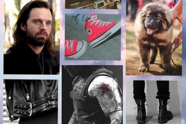 A Year in the Life of Sarge's Person (Год из жизни хозяина Сержанта)