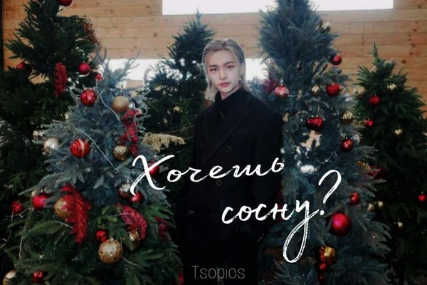 Хочешь сосну?