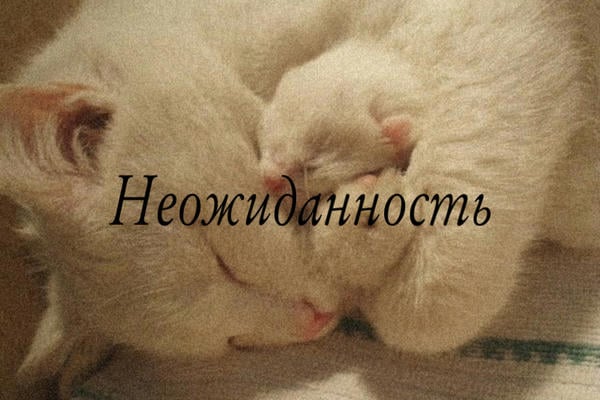 Неожиданность
