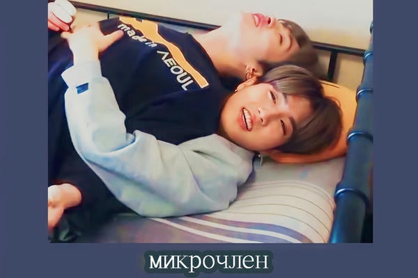 микрочлен