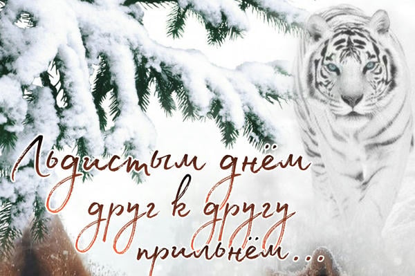 Льдистым днём друг к другу прильнём...