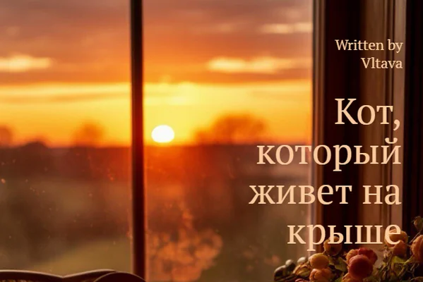 Кот, который живет на крыше