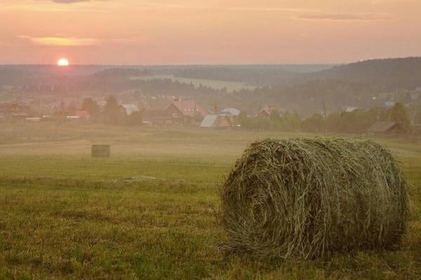 Осень
