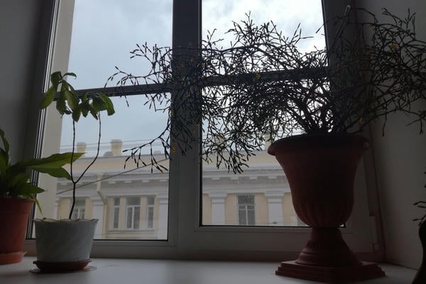 Бессмыслица со смыслом