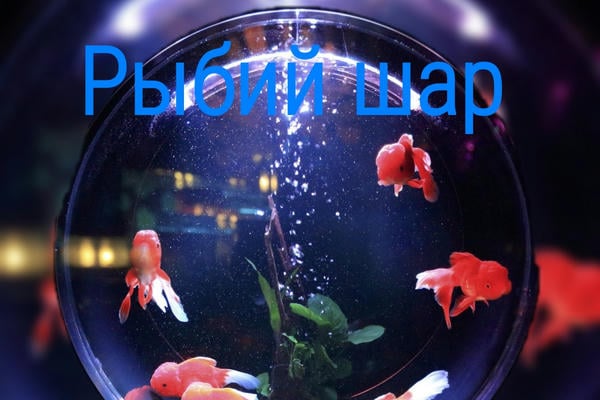 Рыбий шар