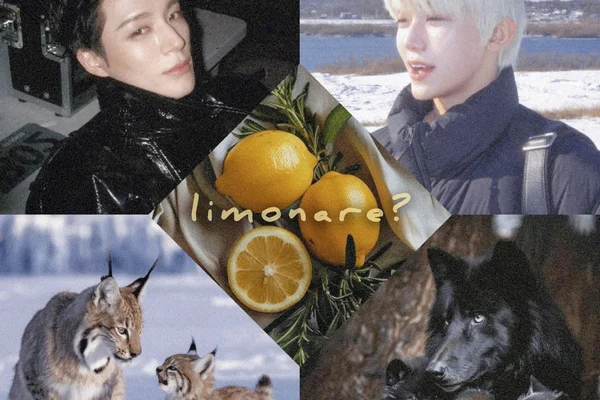 limonare?