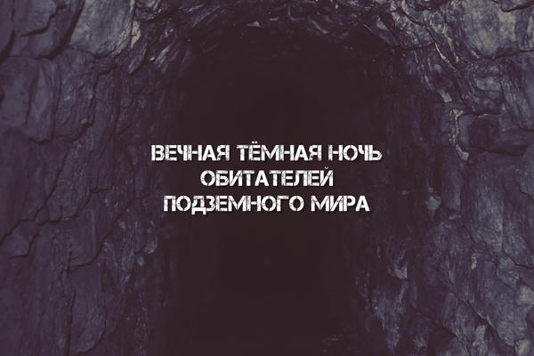 Вечная тёмная ночь обитателей подземного мира