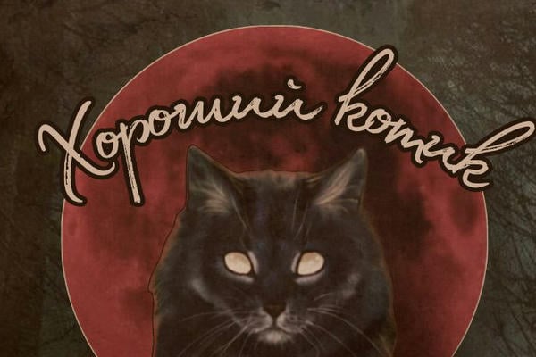 Хороший котик