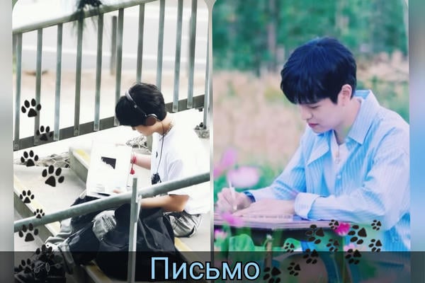 Письмо