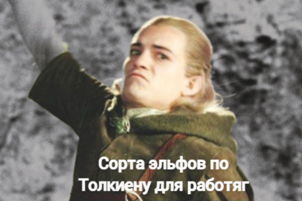 Сорта эльфов (по Толкиену) для работяг