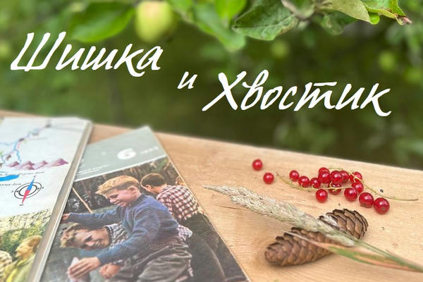 Шишка и Хвостик