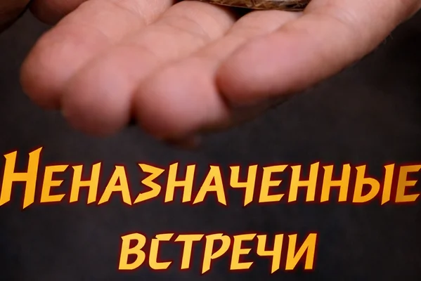 Неназначенные встречи