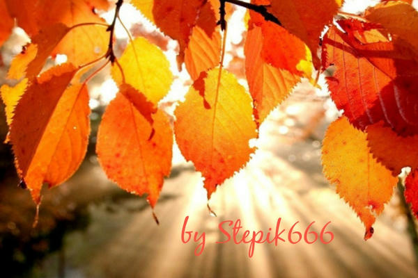 Happy autumn