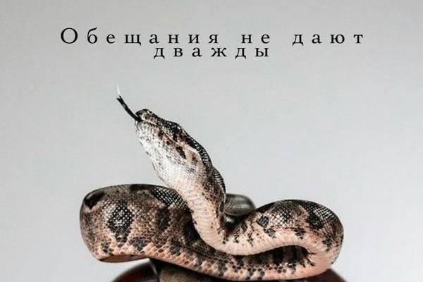 Обещания не дают дважды