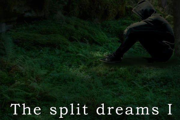 The split dreams I