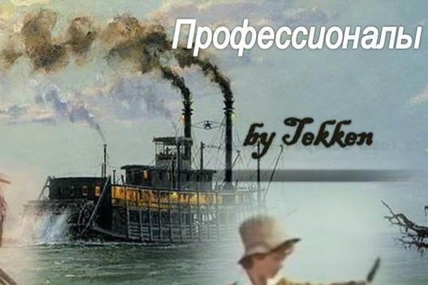 Профессионалы