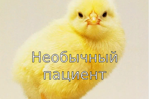 Необычный пациент