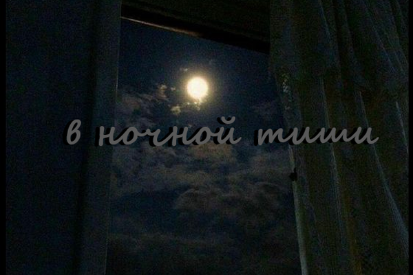 В ночной тиши