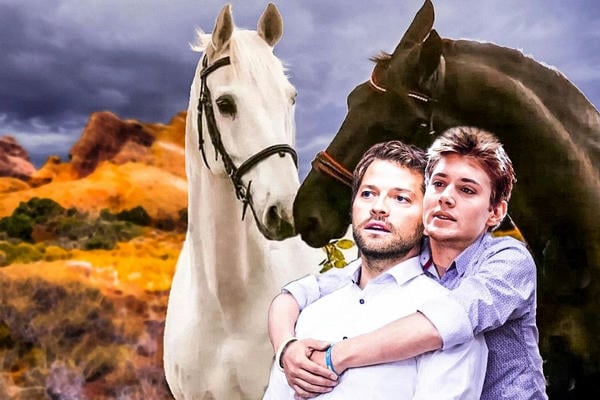По твоим следам…