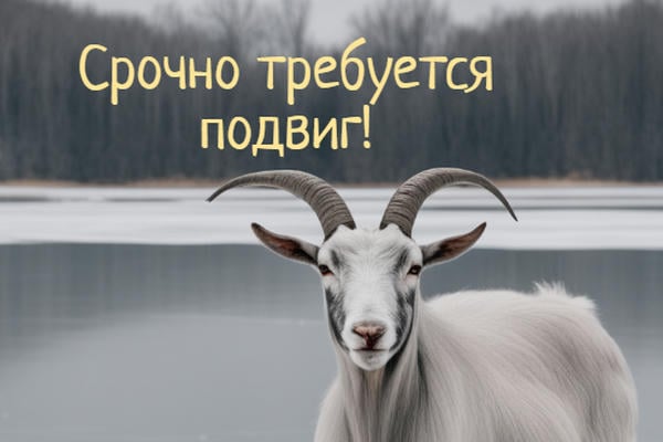 Срочно требуется подвиг!