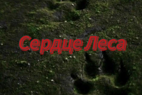 Сердце леса