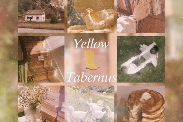 Yellow Tabernus