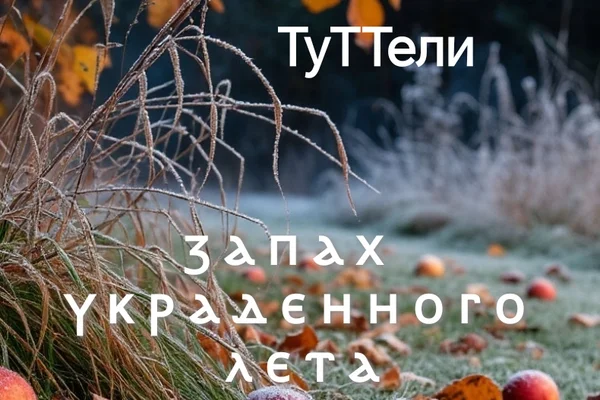 ЗАПАХ   УКРАДЕННОГО   ЛЕТА