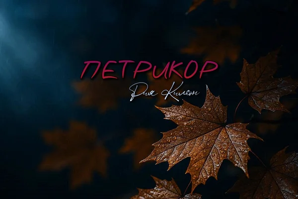 Петрикор