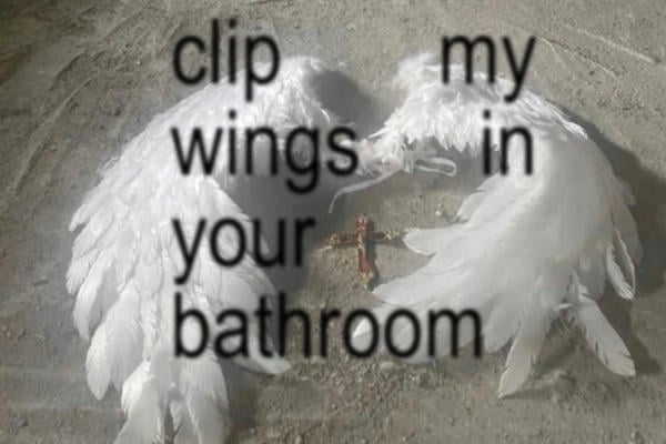Clip my wings in your bathroom