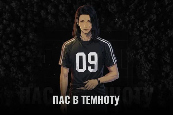 Пас в темноту