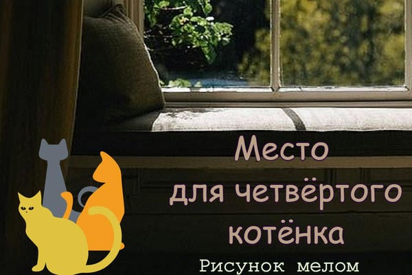 Место для четвёртого котёнка (18+)