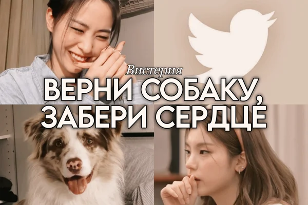 Верни собаку, забери сердце