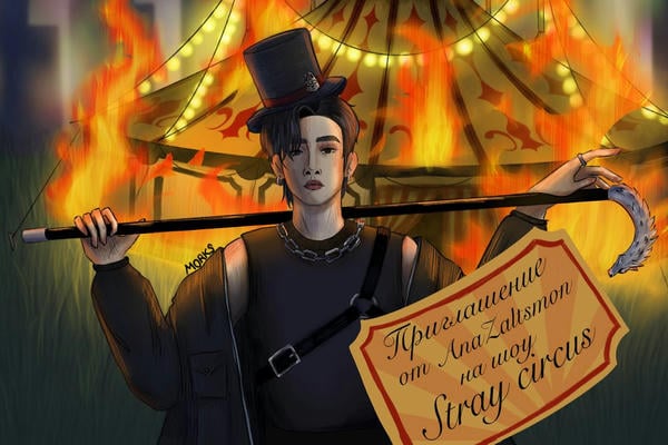 Stray circus