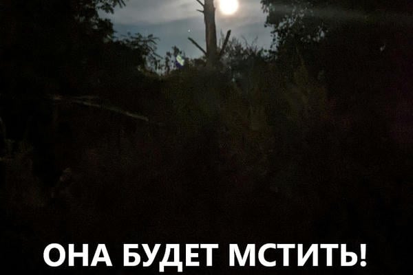 Она будет мстить!