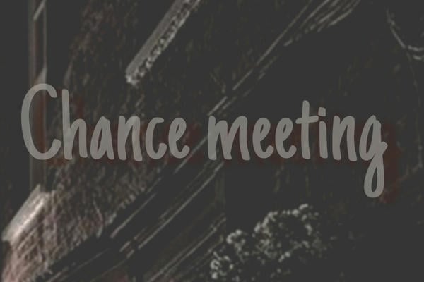 Chance meeting