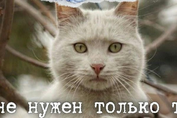 Мне Нужен Только Ты