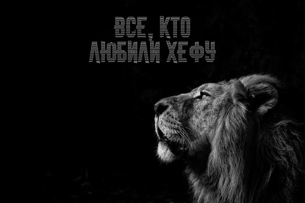 Все, кто любили Хефу