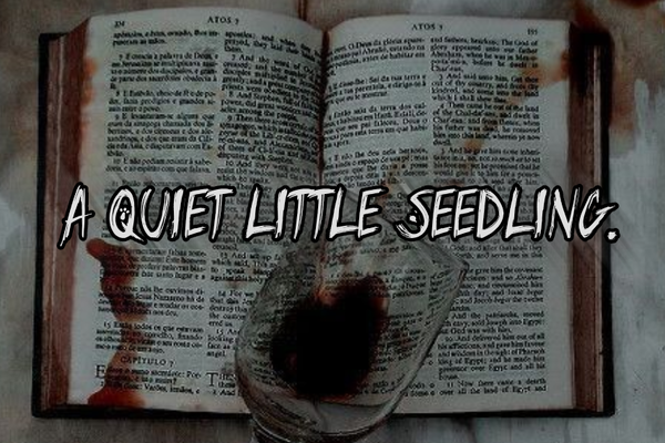 A Quiet Little Seedling.