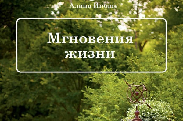 Мгновения жизни