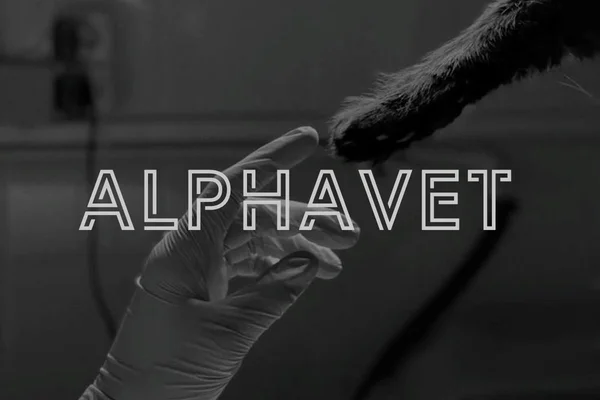 Alphavet