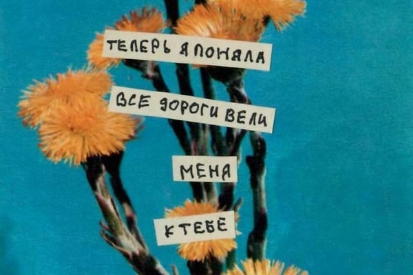 границы твоего сердца