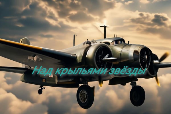 Над крыльями звезды