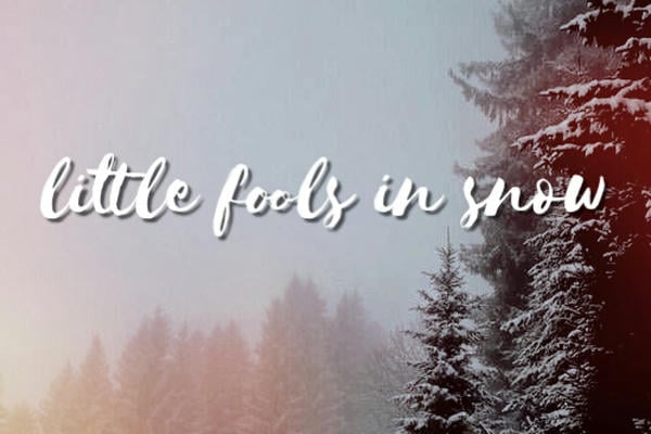 little fools in snow