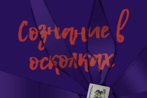 Сознание в осколках
